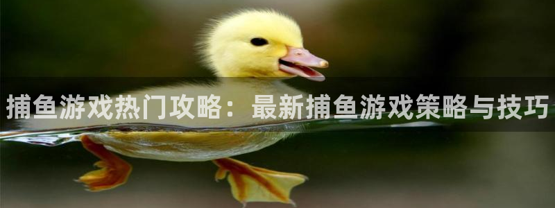 辉达娱乐是什么：捕鱼游戏热门攻略：最新捕鱼游戏策略与技巧