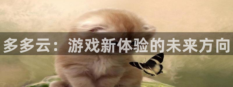 辉达娱乐集团：多多云：游戏新体验的未来方向