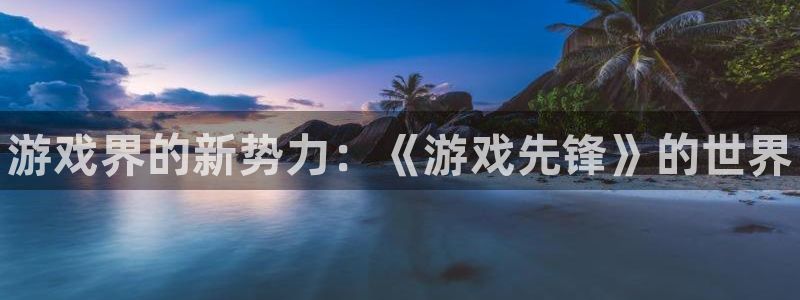 辉达娱乐平台登陆：游戏界的新势力：《游戏先锋》的世界
