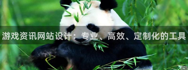 辉达娱乐登陆地址：游戏资讯网站设计：专业、高效、定制化的工具