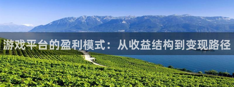 辉达娱乐官方登录网址：游戏平台的盈利模式：从收益结构到变现路