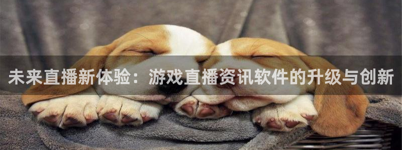 辉达娱乐登录网址：未来直播新体验：游戏直播资讯软件的升级与创