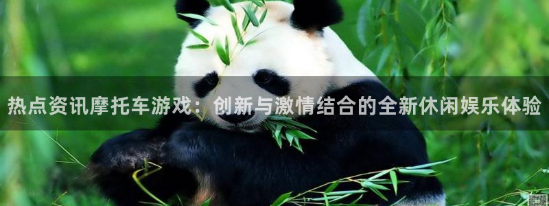 辉达娱乐升级5994月：热点资讯摩托车游戏：创新与激情结合的