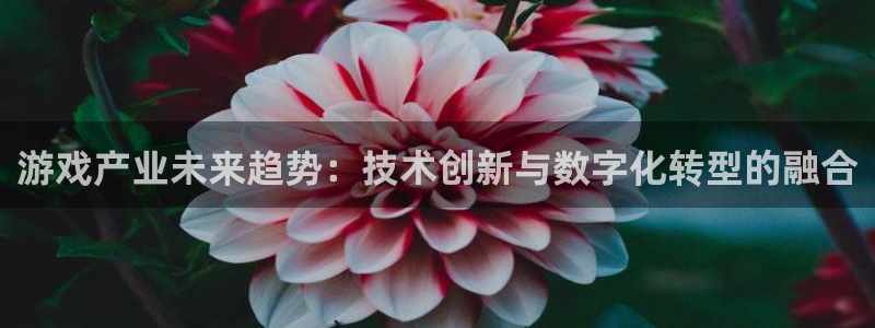 辉达娱乐平台登录：游戏产业未来趋势：技术创新与数字化转型的融