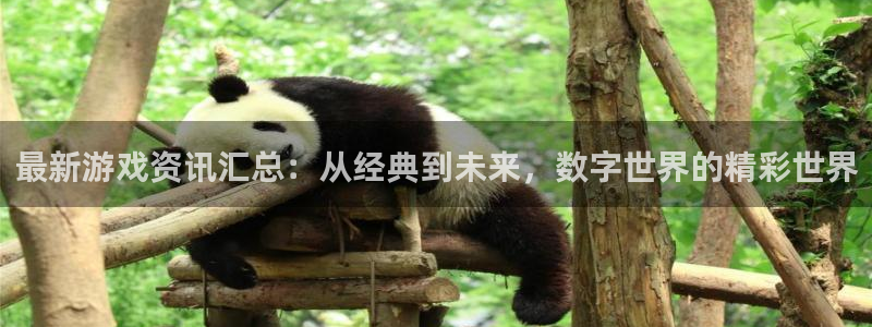 辉达娱乐平台官网客服电话：最新游戏资讯汇总：从经典到未来，数