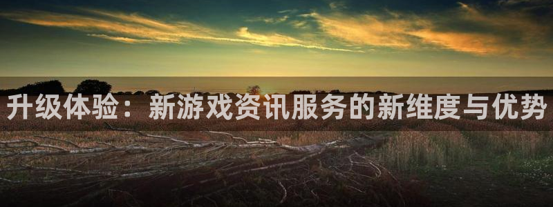 辉达娱乐2首页登录：升级体验：新游戏资讯服务的新维度与优势