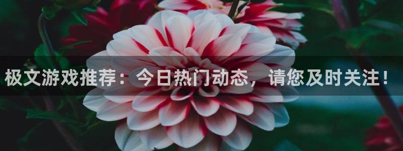 辉达娱乐登陆地址：极文游戏推荐：今日热门动态，请您及时关注！