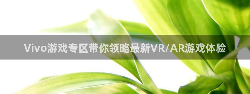 辉达娱乐2首页登录：Vivo游戏专区带你领略最新VR/AR游
