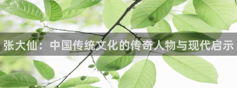辉达娱乐注册：张大仙：中国传统文化的传奇人物与现代启示