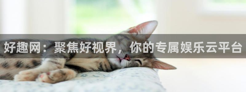 24小时体育在线直播极速体育：好趣网：聚焦好视界，你的专属娱乐云平台