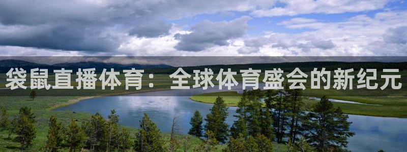 极速篮球直播：袋鼠直播体育：全球体育盛会的新纪元