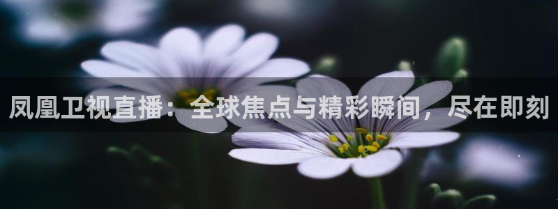 极速体育jrs直播：凤凰卫视直播：全球焦点与精彩瞬间，尽在即刻