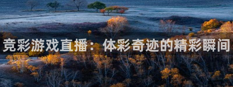 极速体育直播观看极速体育：竞彩游戏直播：体彩奇迹的精彩瞬间
