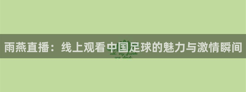 极速体育nba在线直播免费观看直播：雨燕直播：线上观看中国足球的魅力与激情瞬间