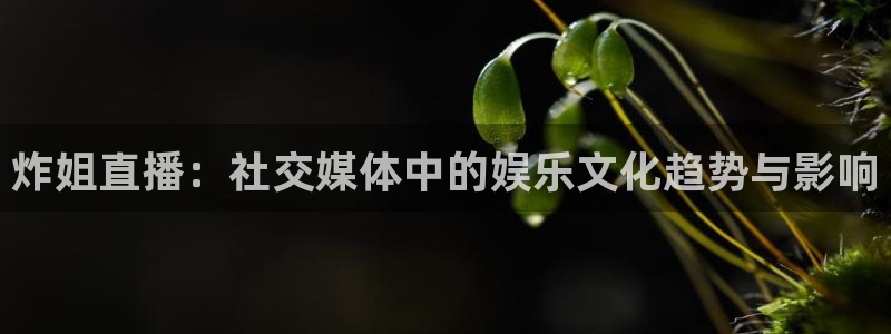 0点8直播极速体育直播：炸姐直播：社交媒体中的娱乐文化趋势与影响