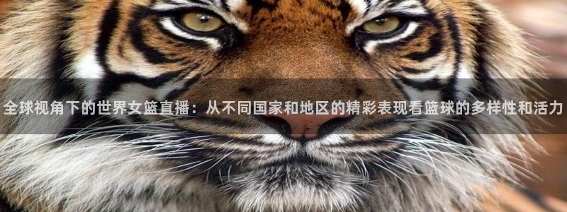 极速体育篮球免费直播：全球视角下的世界女篮直播：从不同国家和地区的精彩表现看篮球的多样性和活力