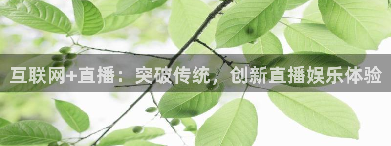 足球直播极速体育：互联网+直播：突破传统，创新直播娱乐体验