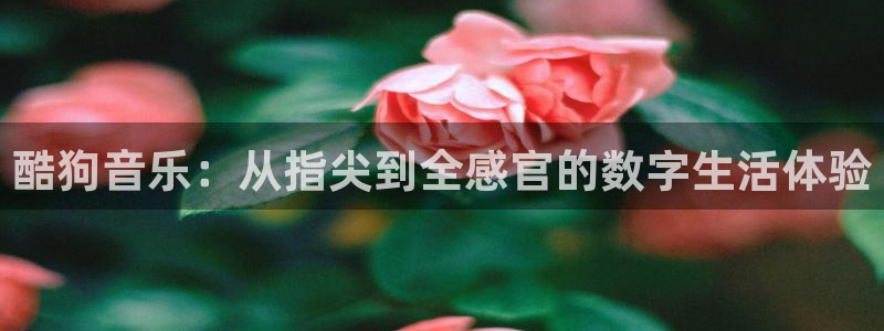 jrs直播(无插件)直播极速体育nba：酷狗音乐：从指尖到全感官的数字生活体验